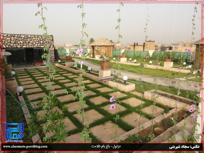 اولین باغ بام خوزستان در دزفول عکس سجاد شیربتی